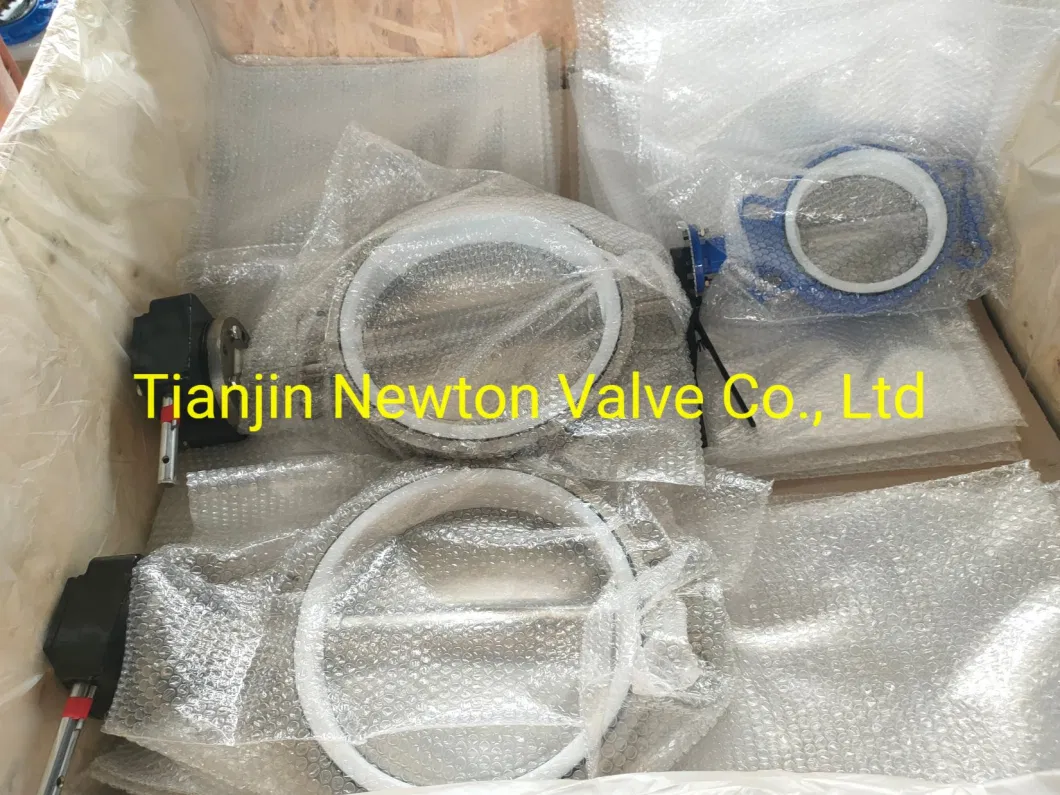 Pn6 Pn16 Pn25 JIS5K 10K 16K Wafer Semi Lug Doule Flange U Type Concentric Line Resilient Seated Soft Seat Butterfly Valves for Marine